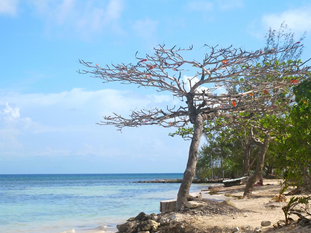 Coral View Beach Resort Утіла Екстер'єр фото