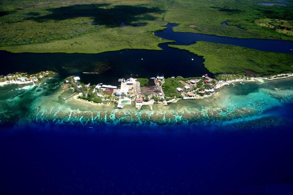 Coral View Beach Resort Утіла Екстер'єр фото